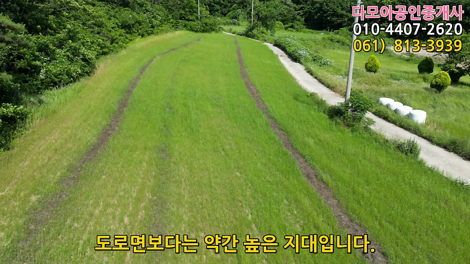 정골 사진 6