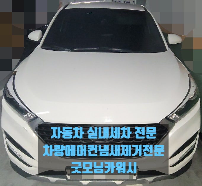  신도림 실내세차 투싼에바크리닝 호흡기건강관리방법
