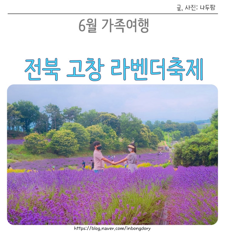 전북 고창 라벤더축제 6월 가족여행