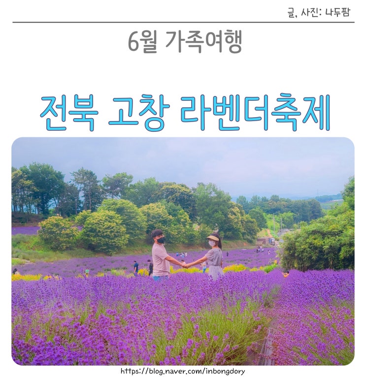  전북 고창 라벤더축제 6월 가족여행