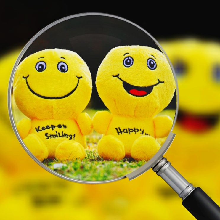 MMPI검사/다면적인성검사 종류 : MMPI-2, MMPI-A, MMPI-2 RF, MMPI-A RF MMPI검사/다면적인성검사 종류 : MMPI-2, MMPI-A, MMPI-2 RF, MMPI-A RF