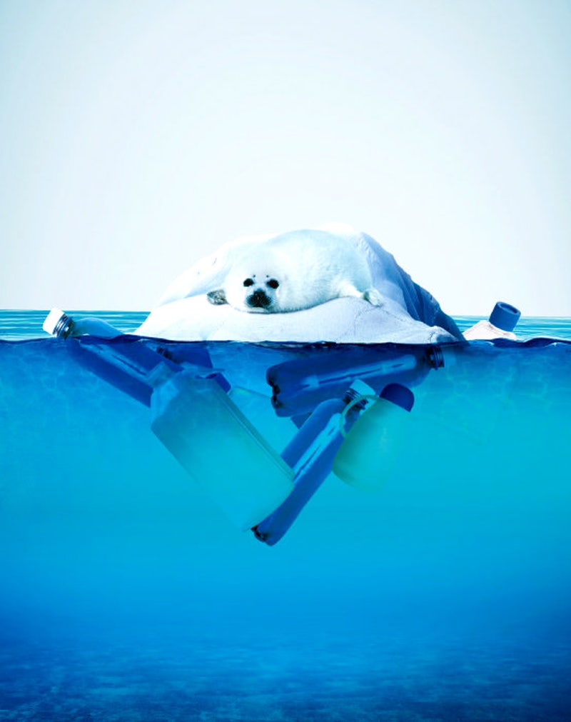 문신한사람 와이프 | TikTok, image size:800x1011