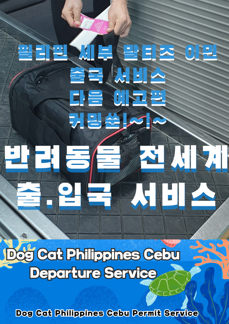  강아지 고양이 반려동물 반려견 출국 검역 필리핀 세부 마닐라 클락외 이민 수입허가 서류 펫 해외 운송