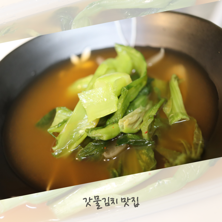  여수돌산갓김치 시원 아삭한 갓물김치 맛집 미스터홍주부