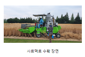 사료맥류 종자 발아율 높이는 수확 후 건조법 사료맥류 종자 발아율 높이는 수확 후 건조법