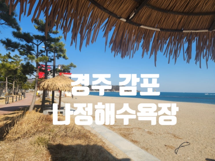  나정고운모래해변 오토캠핑장으로도 너무 좋을 위치에요!