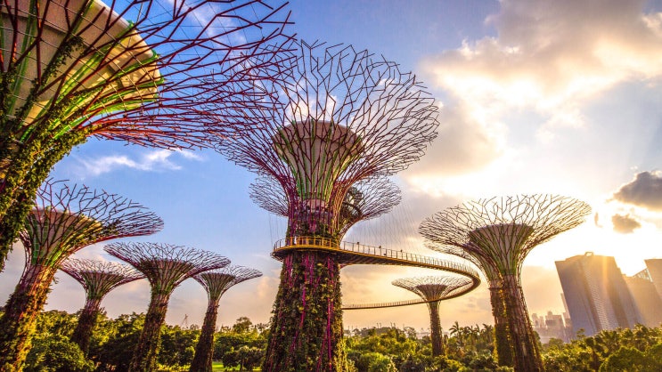  싱가포르의 가든스 바이 더 베이(Gardens by the Bay)