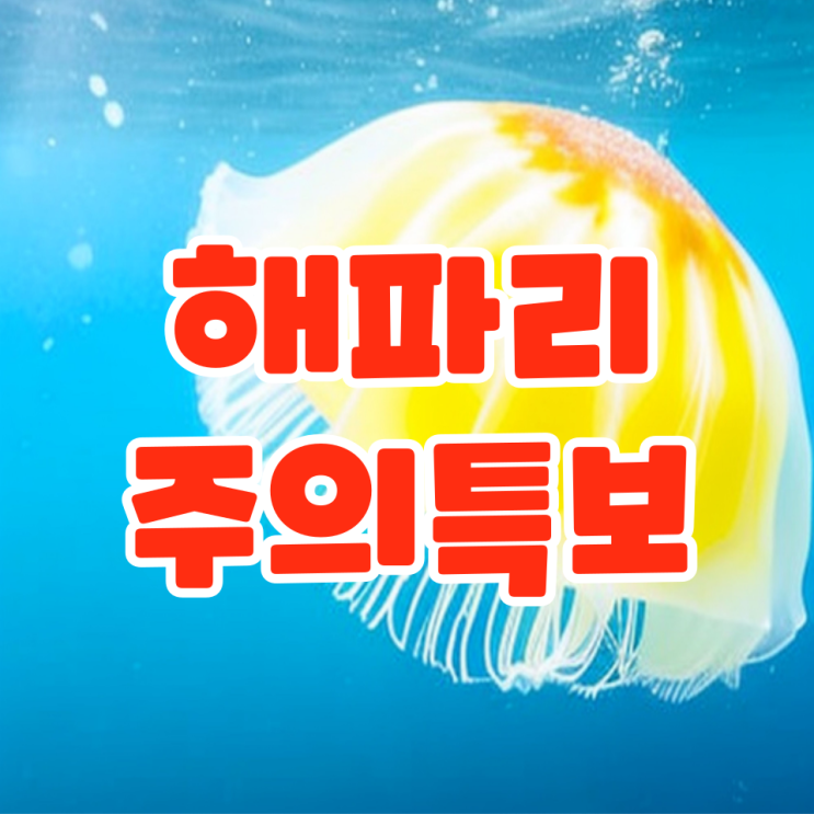  [이슈] 올해 첫 해파리 주의단계 특보 발령