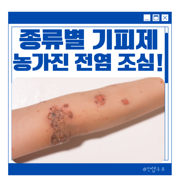  종류별 모기 기피제, 퇴치 패치 효과X & 아기 모기물렸을때 농가진 전염 주의 !