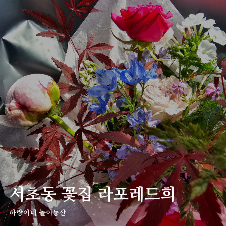 서초역꽃집 예술의전당꽃집 라포레드희
