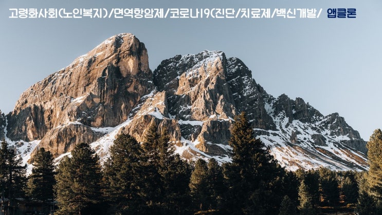  고령화사회(노인복지)/면역항암제/코로나19(진단/치료제/백신개발/앱클론