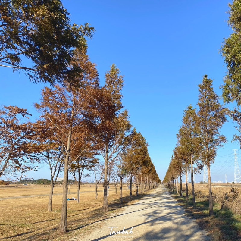 안산 대부도 놀거리, 여름 휴양지 감성 당일치기 3곳 소개 : 네이버 블로그