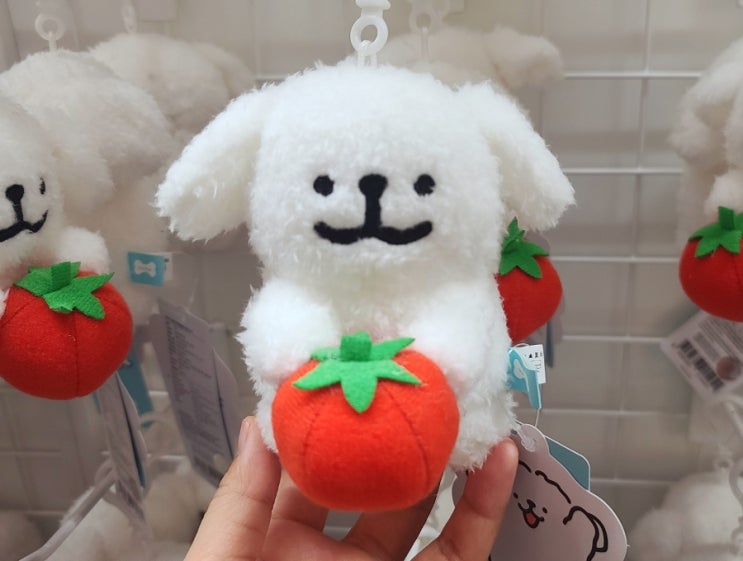  [블챌] 잠실 롯데월드몰팝업스토어