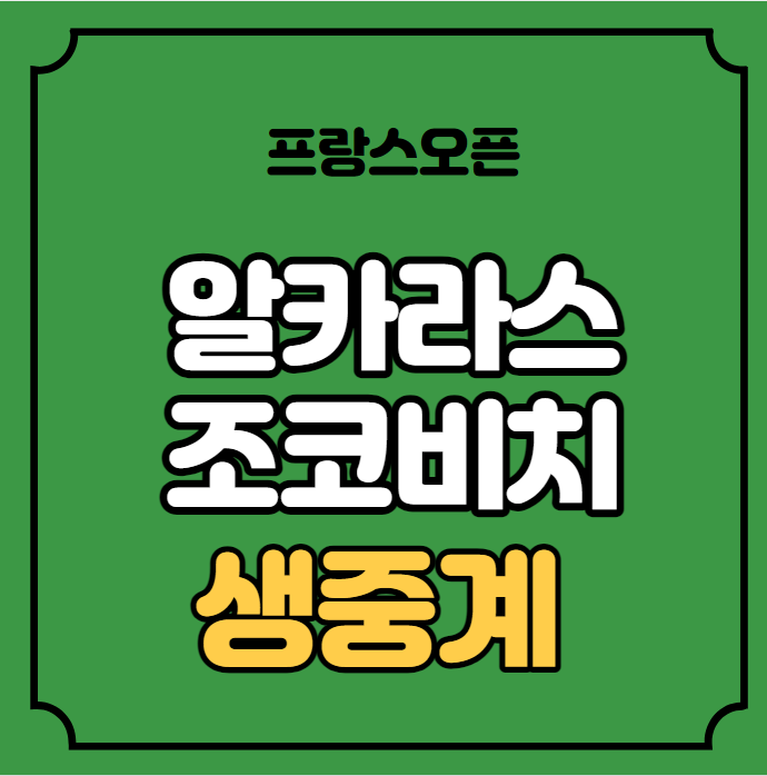 중계 <b>4강</b> 준결승 2023 롤랑가로스 <b>프랑스오픈</b> 남자단식 테니스... 