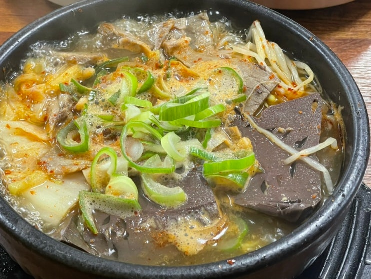 제주 소고기 해장국, 내장탕 내돈내산 찐 맛집 (feat. 산지해장국)