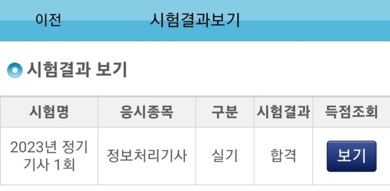 [정보처리기사] 2023 정처기 실기 1회차 전공자 합격 발표 및 자세한 합격 후기 (전공자 필기/....