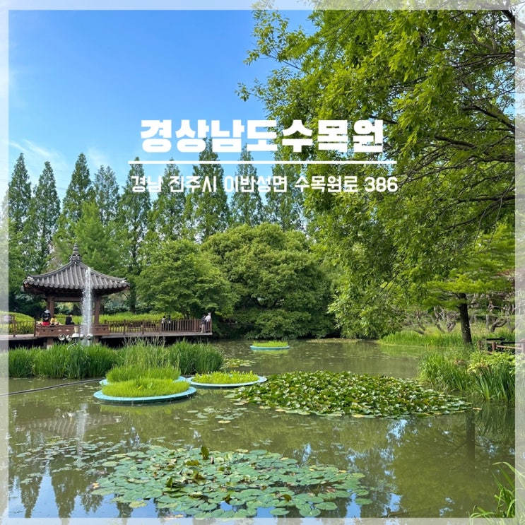  경남 진주 가볼 만한 곳 경남수목원 피크닉 및 여행정보