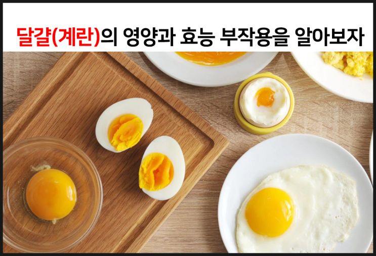  달걀, 계란의 영양과 효능 부작용을 알아보자