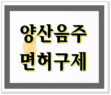  양산 음주단속 망설이면 안 되는 이유