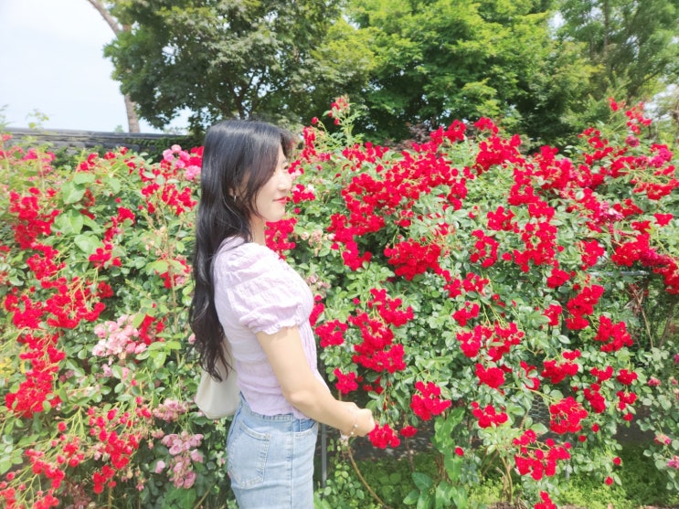  안성 장미 죽산순교성지 경기 평택 근교 산책 코스 소요시간 후기