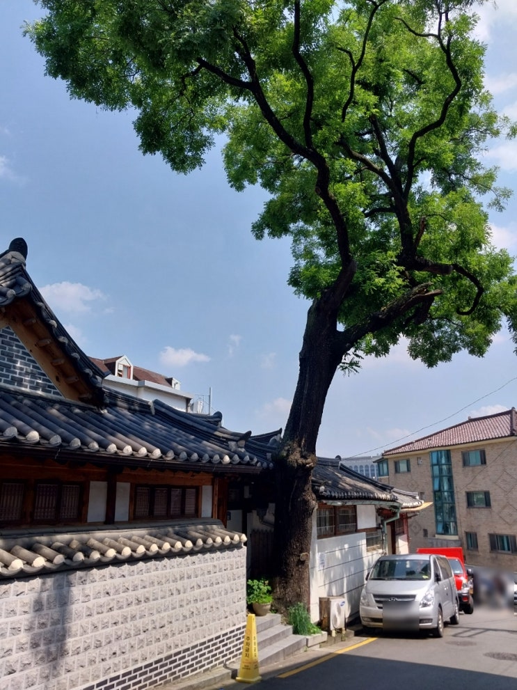  서울 가볼 만한 곳 북촌 한옥마을  정독 도서관 삼청동 호떡까지 한 번에 둘러보기
