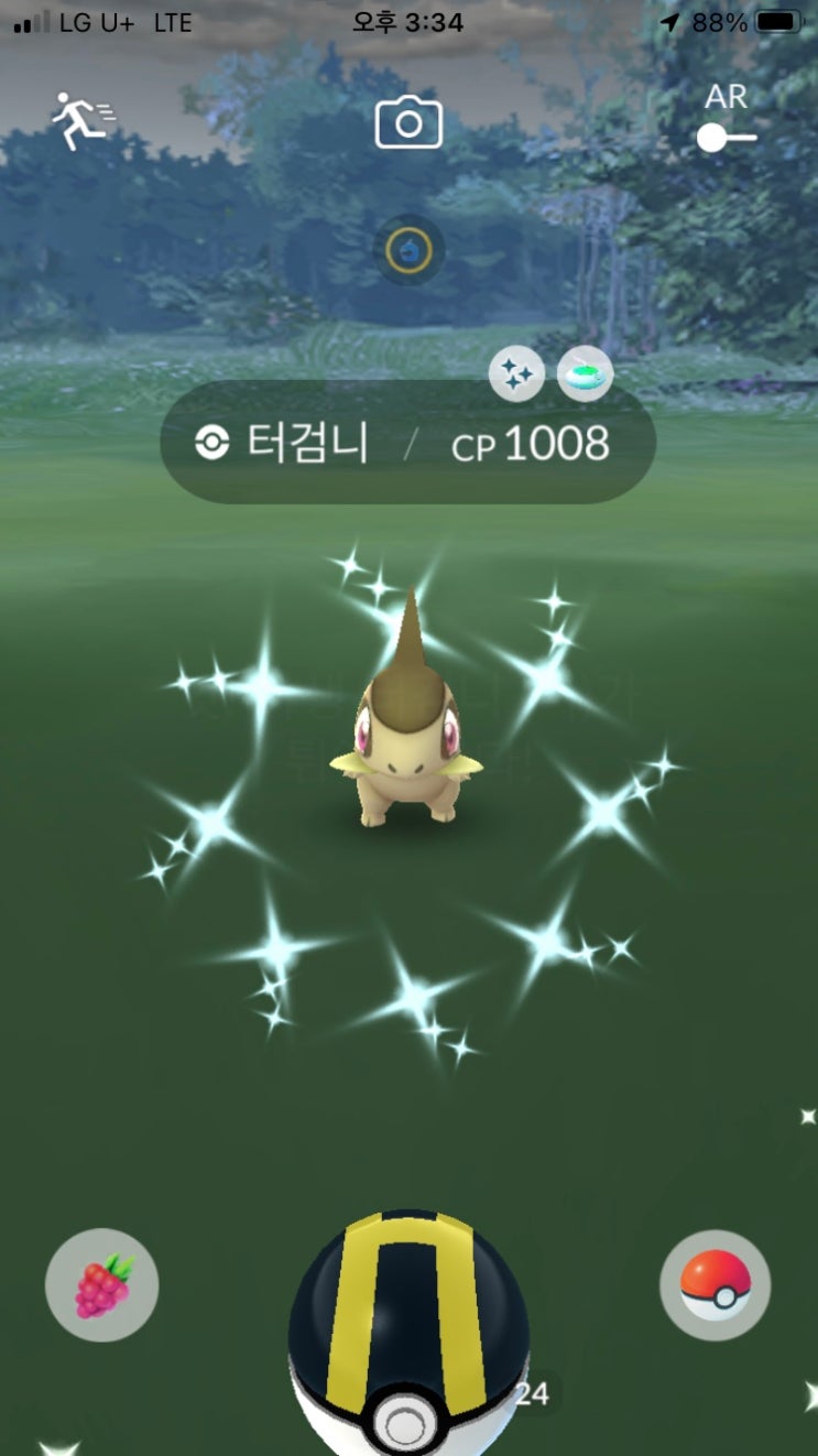  포켓몬고 6월 커뮤니티 데이 터검니 이로치 및 진화