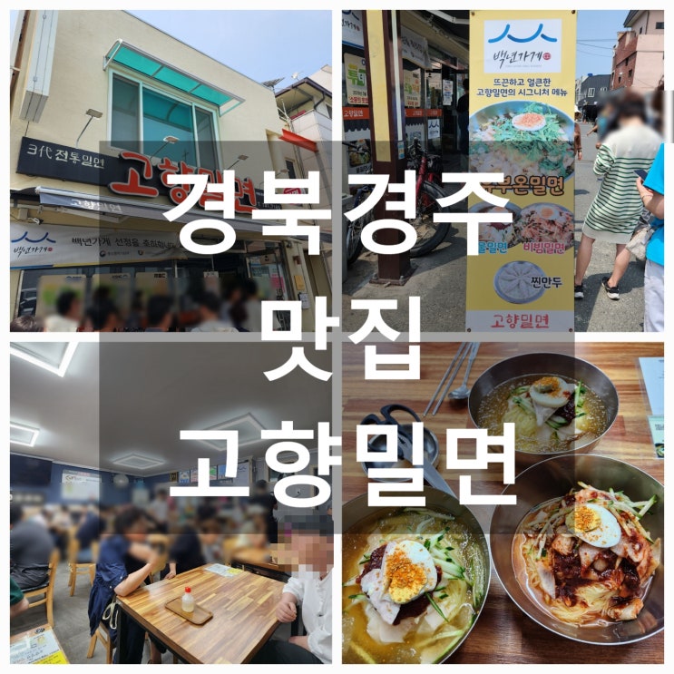  경주 맛집 '고향밀면' #유부온밀면 #물밀면 #비빔밀면 #찐만두