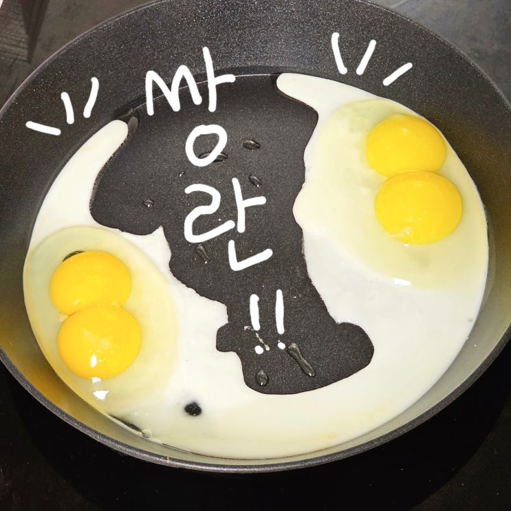  계란 한판이 전부 쌍란 달걀 나왔어요