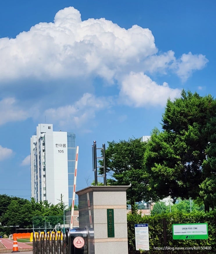 강남세움복지과 홍보서포터즈 가는 날 강남세움복지과 홍보서포터즈 가는 날