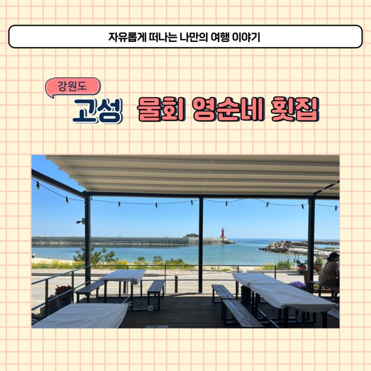  강원도 고성 속초 물회 맛집 봉포항 영순네횟집