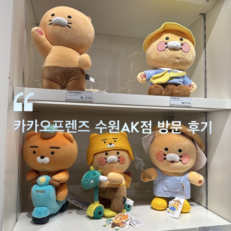  카카오 프렌즈 수원 AK 점 신상 춘식이 보고 왔어요 ( 가격 재입고 파는곳 )