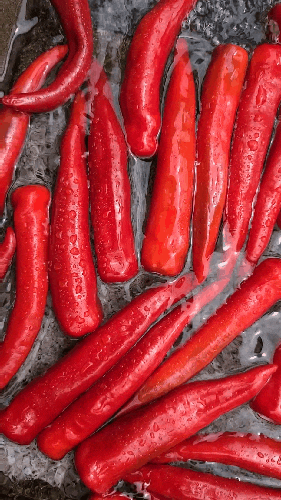  [창작소설]The sorrow without chilli