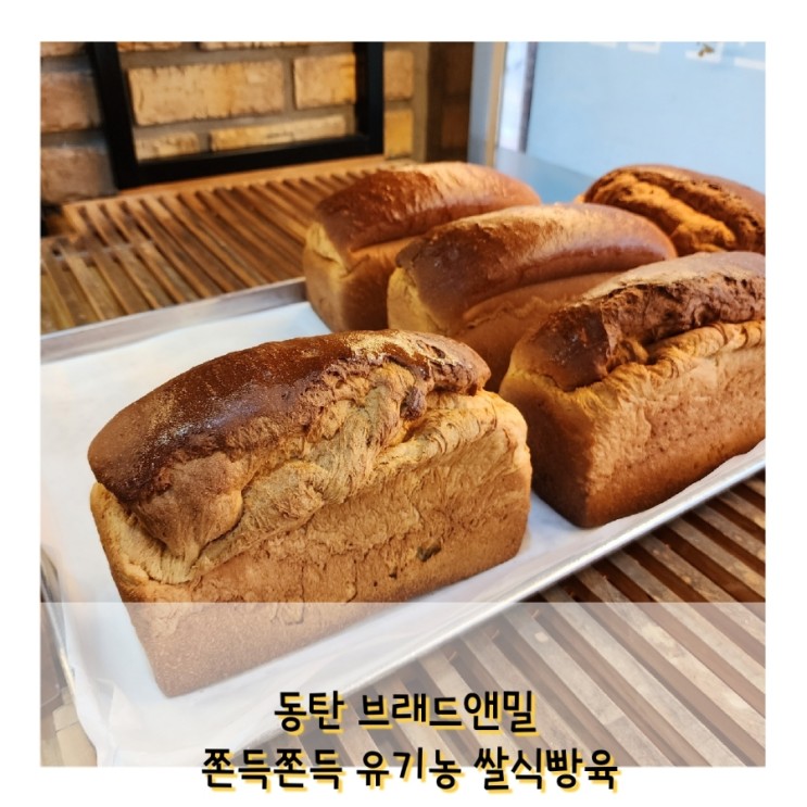 동탄빵집  브래드앤밀 쌀 식빵 솔드아웃 오전방문 추천