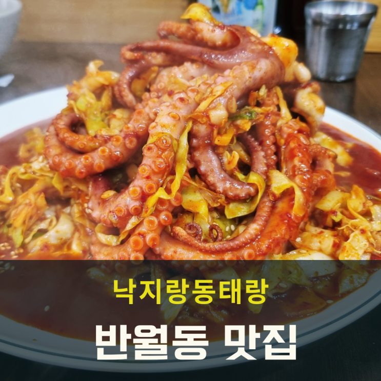  13년 오래된 반월동 맛집 낙지랑동태랑 점심