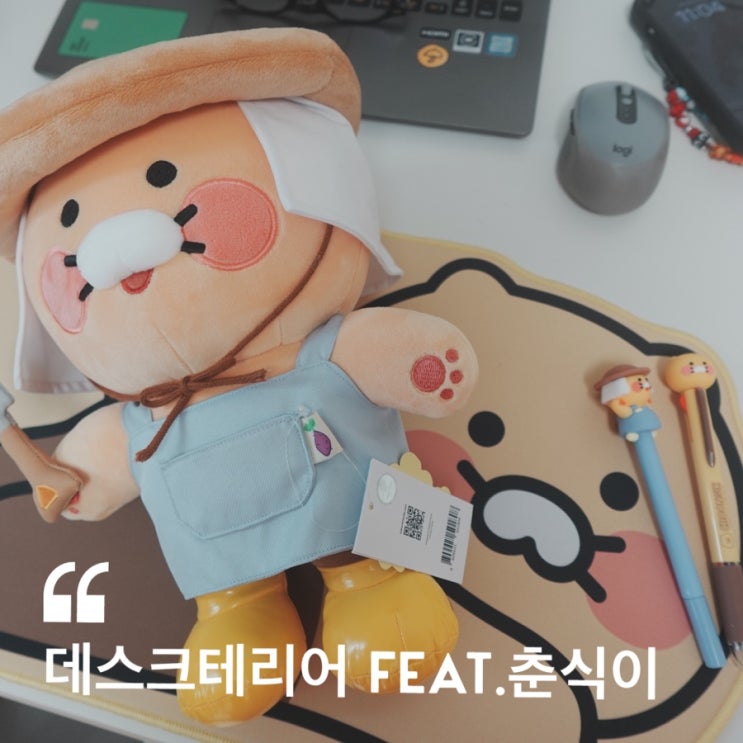  귀엽고 깔끔한 데스크테리어 ( feat. 큐티 카카오프렌즈 춘식이 )