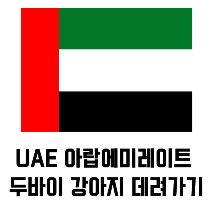  UAE 아랍에미레이트 두바이 강아지 데려가기