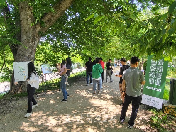 담양군, 유기동물 사진전 개최 “반려동물 사지 말고 입양하세요!”