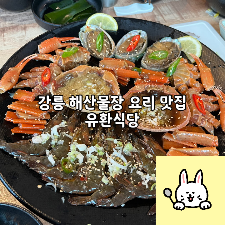  강릉 해산물장 요리 맛집 유환식당