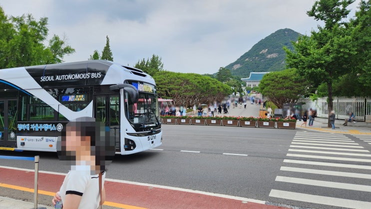 에스유엠 청와대 자율주행버스 탑승기(TAP! 서비스)