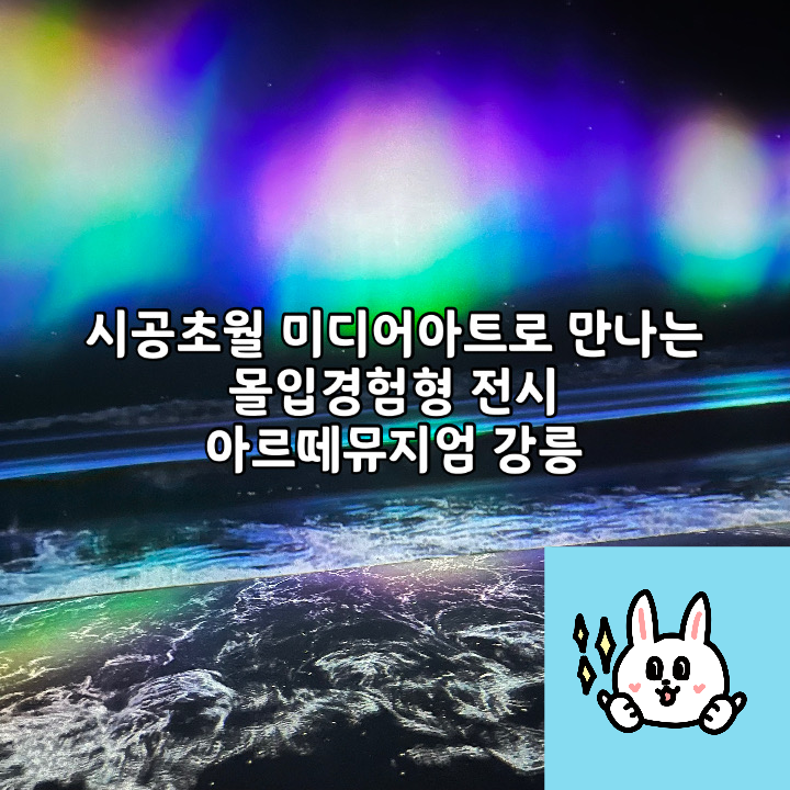 시공초월 미디어아트로 체험과 휴식 시간 아르떼뮤지엄 강릉