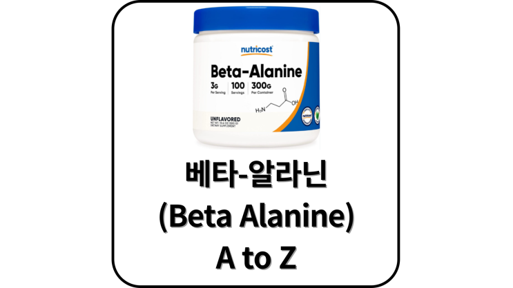 베타 알라닌(Beta Alanine) 보충제 효과 및 섭취 방법, 부작용 / 운동선수 보충제, 카르노신, pH 완충제, 중탄산나트륨