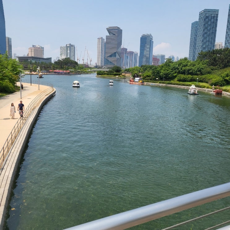  230611 점심 걷기