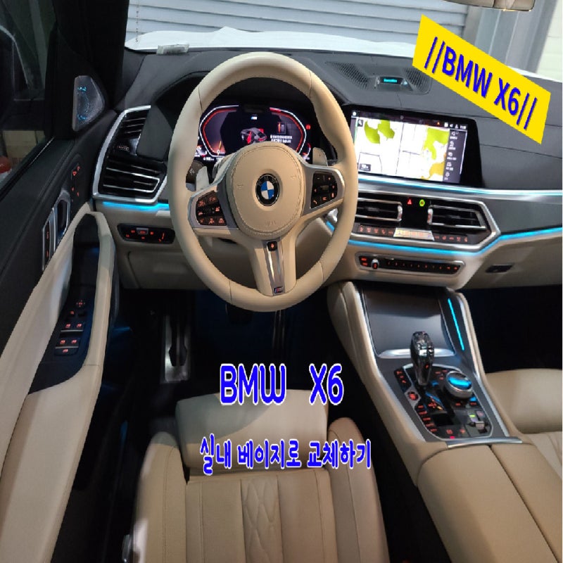 인천 남동구 / 실내커스텀/염색 / BMW / X6 (G06)