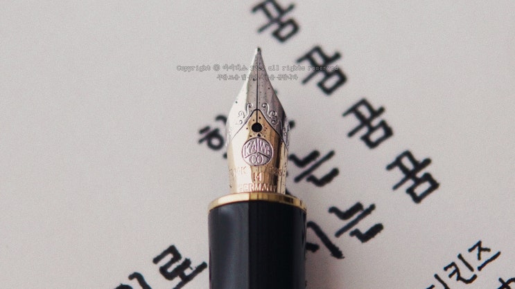  꿈을 꾸었던 사람만 남기고 사라지는 꿈 (카웨코 다이아2 14K M닙 만년필로 필사하기)