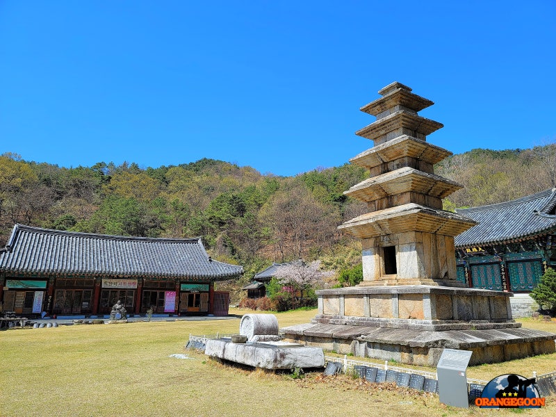 경북 구미 / 구미 죽장리 오층석탑) 높이가 10m에 달하는 국내에서 ...