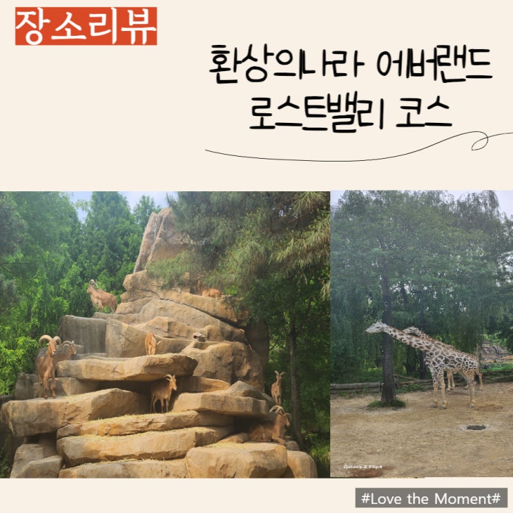  5세&4세 남자아이와 함께하는 에버랜드 코스 추천 -로스트밸리