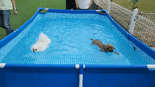  공휴일이 있어서 더 빡세게 놀고 먹고 지낸 한 주간