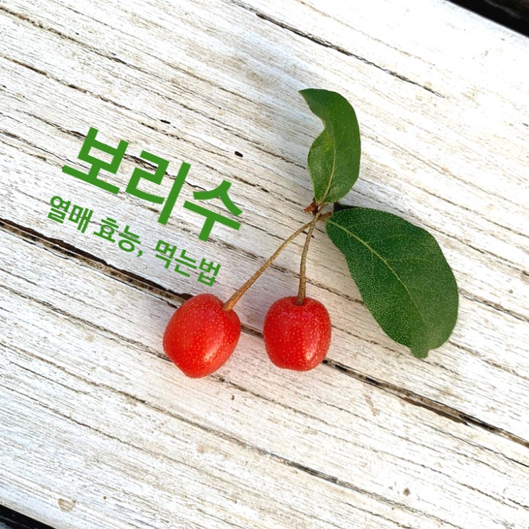  보리수열매효능과 부작용, 활용법(잼, 청, 담금주)