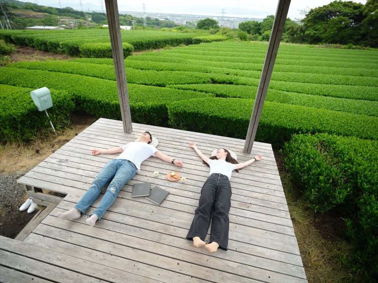 일본의 야외 임대 다실 차노마 풍경