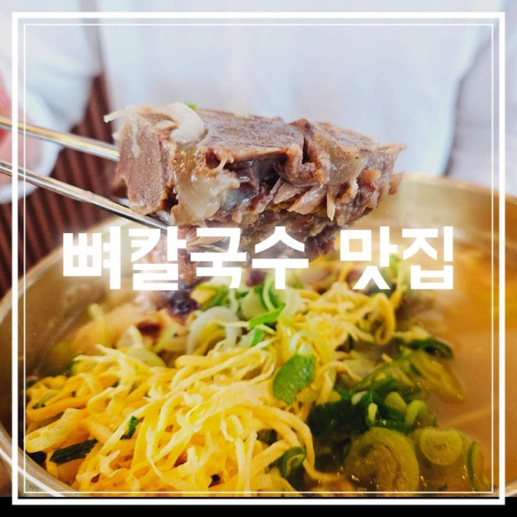  김포 맛집 운양동 칼국수 맛있는녀석들 평이담백뼈칼국수